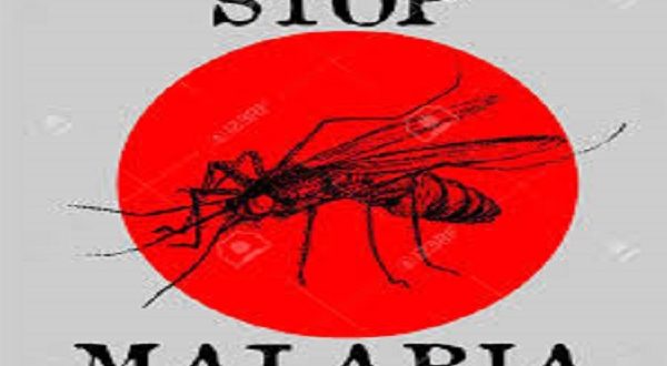 malaria autoctona Italia Sofia Zago