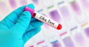 virus zika cancro