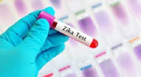 virus zika cancro