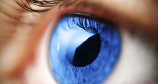 Cenegermin, molecola da Nobel per curare malattia rara degli occhi