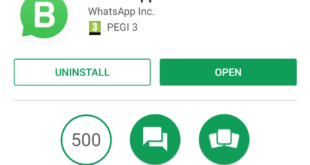 WhatsApp Business debutta in Italia, cos'è e come funziona