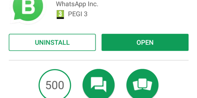 WhatsApp Business debutta in Italia, cos'è e come funziona