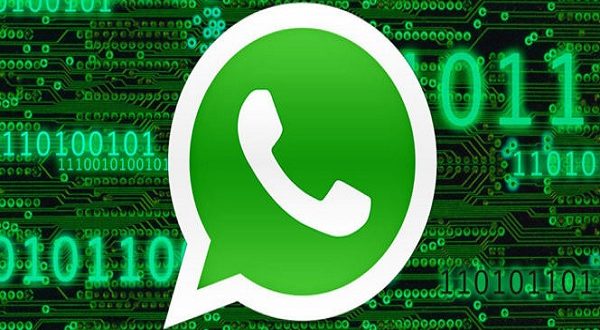 WhatsApp account, come scoprire chi visualizza il tuo profilo