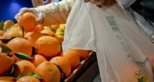 Sacchetti biodegradabili per la frutta, si possono portare da casa