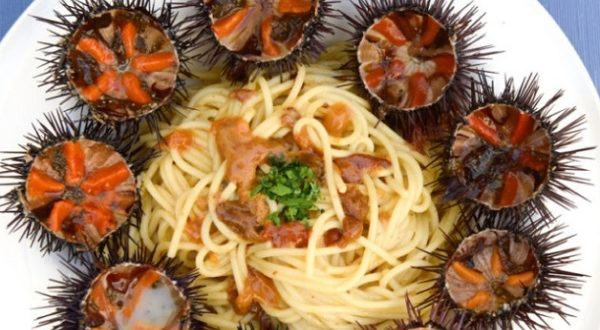 Ricci di mare proprietà: lo studio su cuore e arterie