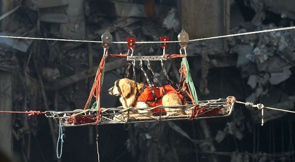 Ponte Morandi bufale sul web dopo il crollo